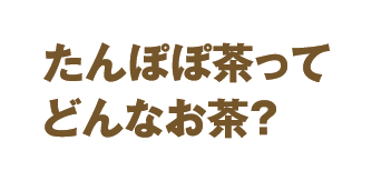 金の胡麻麦茶ってどんなお茶