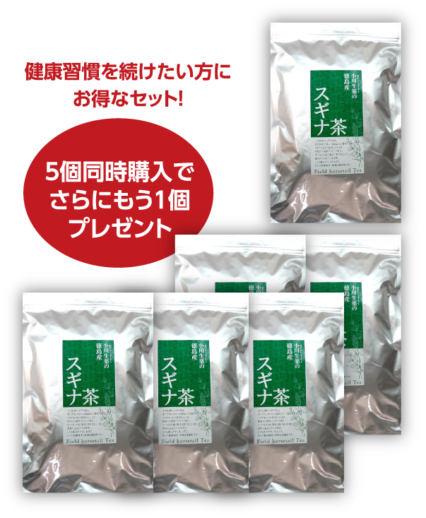 健康習慣を続けたい方にお得なセット！5個購入でさらにもう1個プレゼント！国産スギナ茶