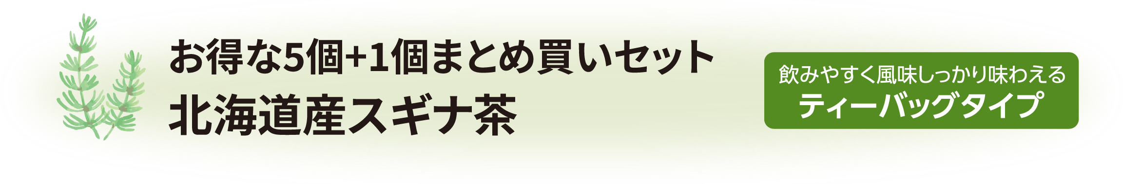 お得な5個まとめ買いセット 国産スギナ茶 飲みやすく風味しっかり味わえるティーバックタイプ