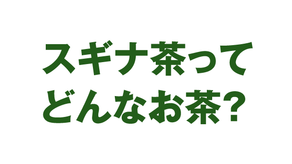 スギナ茶ってどんなお茶？