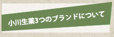 小川生薬4つのブランドについて