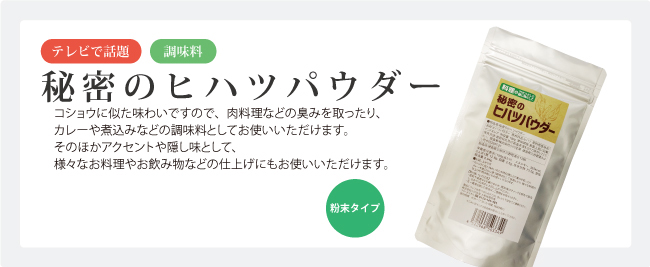 ポスト投函便送料無料】小川生薬のれんこんパウダー 70g