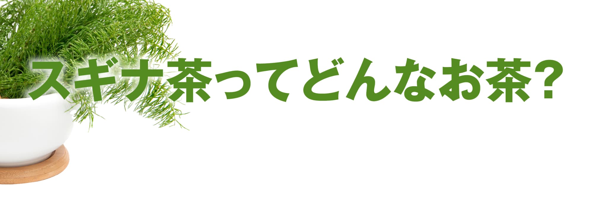 スギナ茶ってどんなお茶？